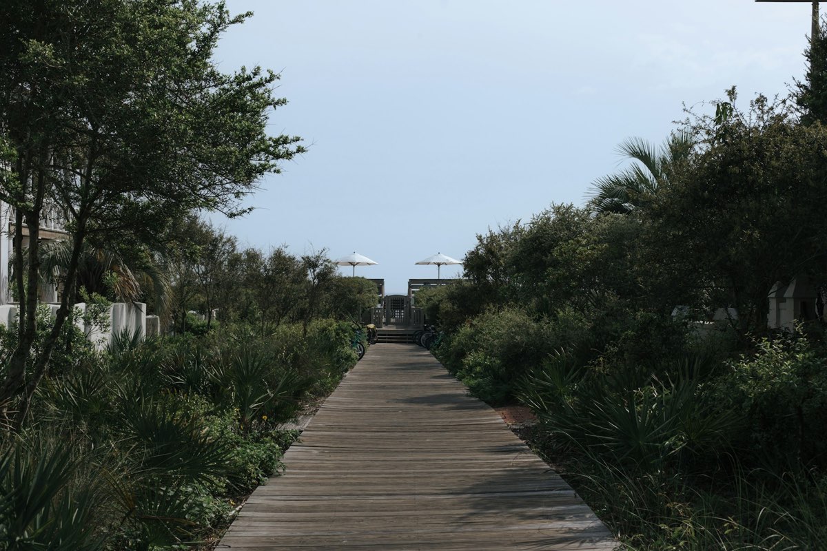 Wooden boardwalk through dune scrub leading to the beach